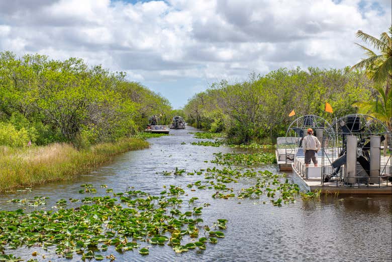 Exploring the Everglades