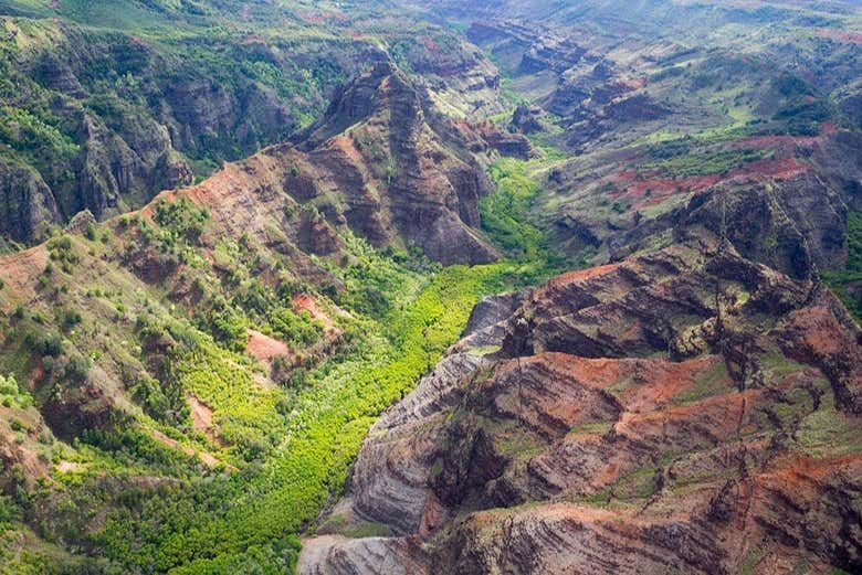 El Cañón Waimea