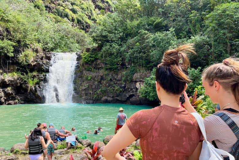 Vous serez immergé dans la nature hawaïenne