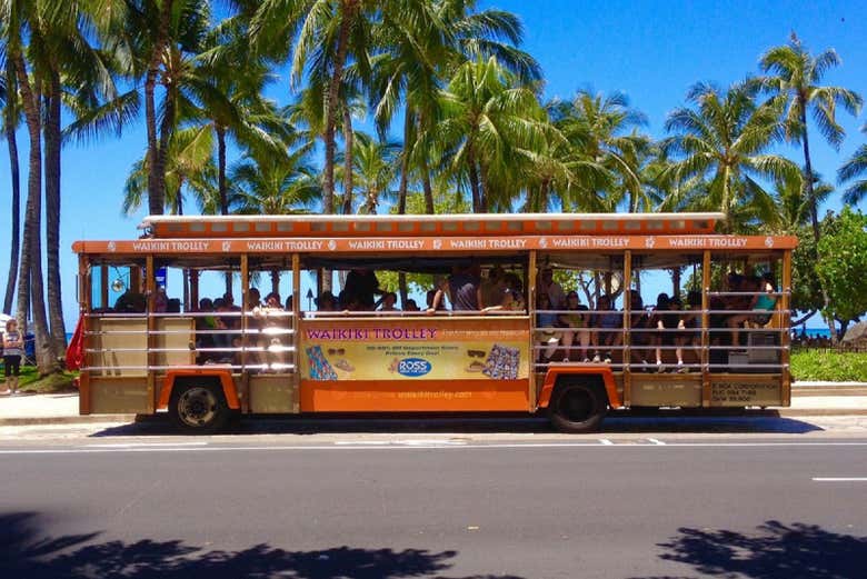 Tourist bus to Diamond Hill