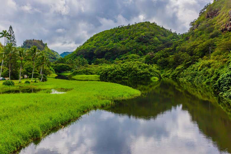 Waimea Valley