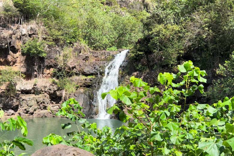 L'impressionnante cascade de Waimea