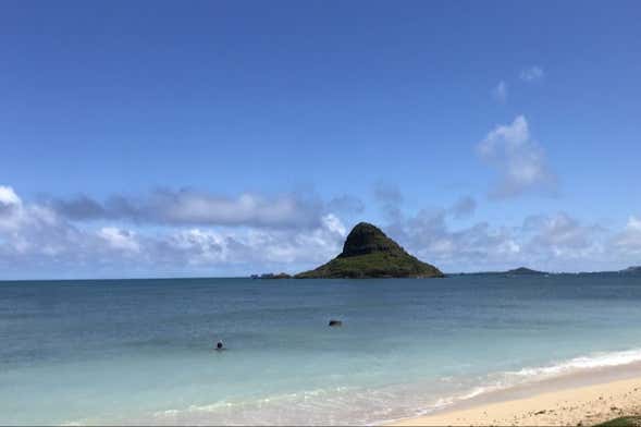 Tour privado por Oahu con guía en español