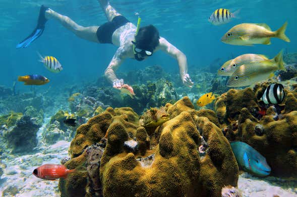 Snorkel en Isla de Hawái