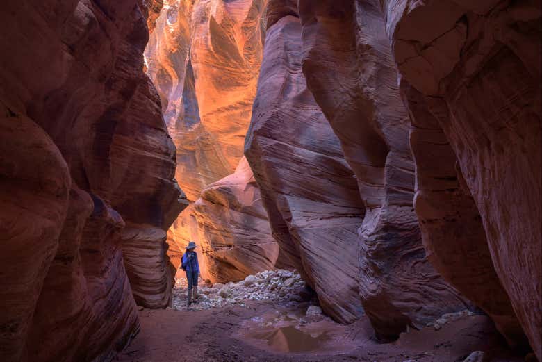 Wire Pass, en Buckskin Gulch