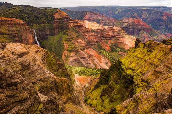 Escursione al Canyon del Waimea e al Parco Statale Kōkeʻe