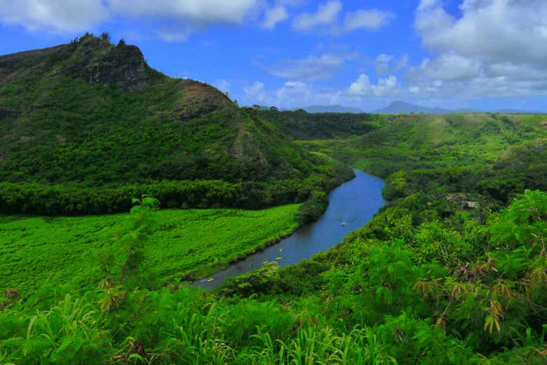 Wailua River Tour, Kauai