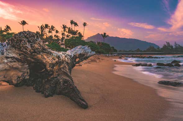 Kauai Movie Tour