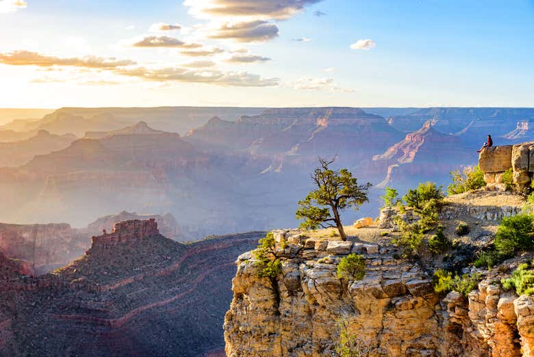 Grand Canyon View