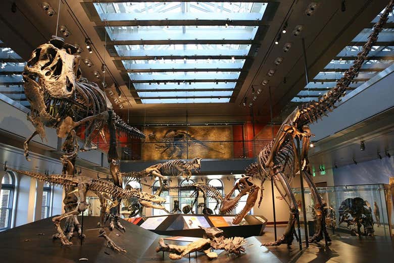 See California's largest fossil collection