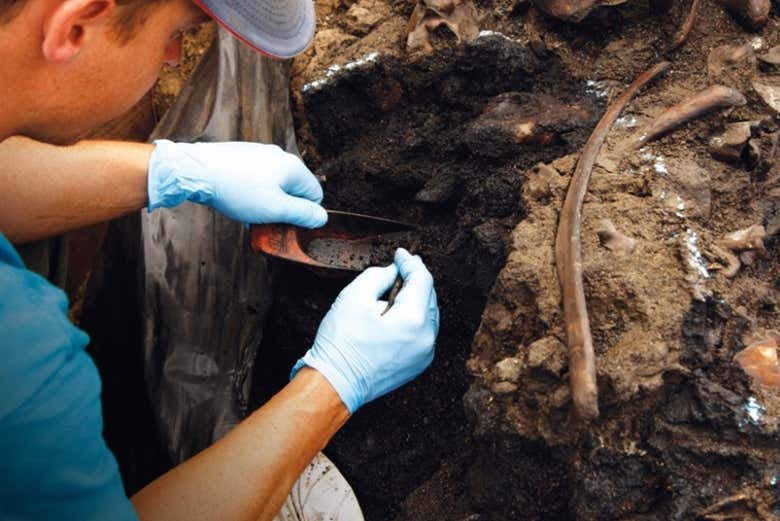 Explore the La Brea Tar Pits research site