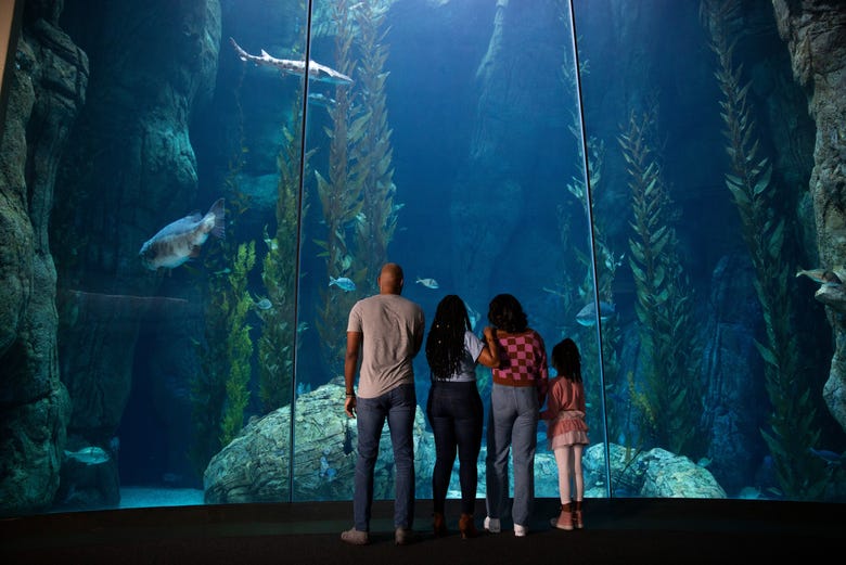 Billet pour l'Aquarium of The Pacific, Los Angeles