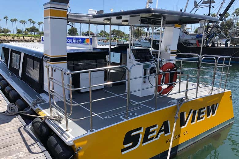 Our glass bottom boat