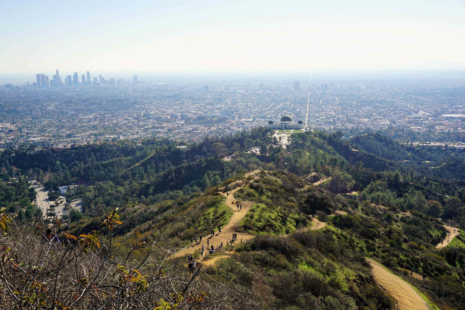 Trilha pelo Griffith Park de Los Angeles - TudoSobreLosAngeles.com