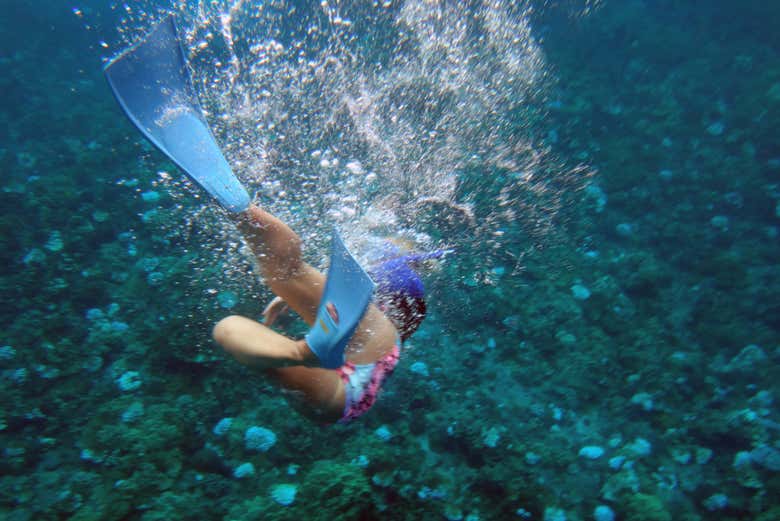 Haciendo snorkel en Lahaina