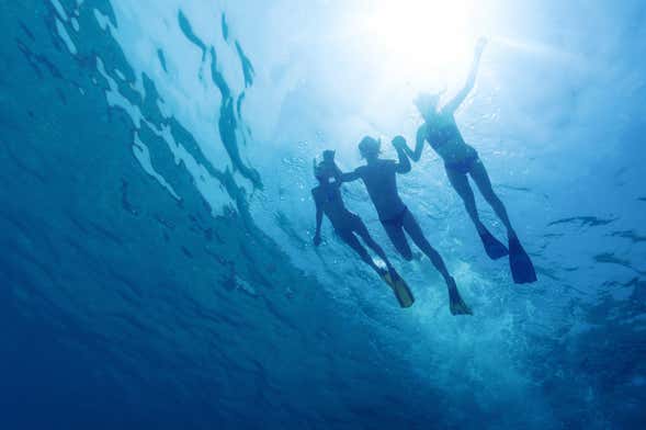 Snorkel en Lahaina