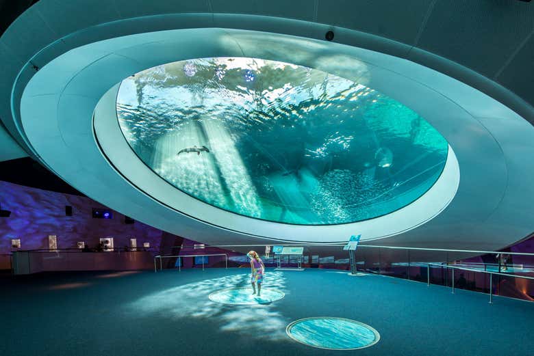 Visit the Aquarium and discover different marine species