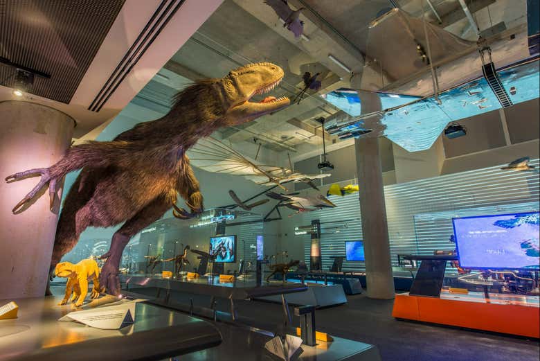 Explore the Miami Museum of Science!