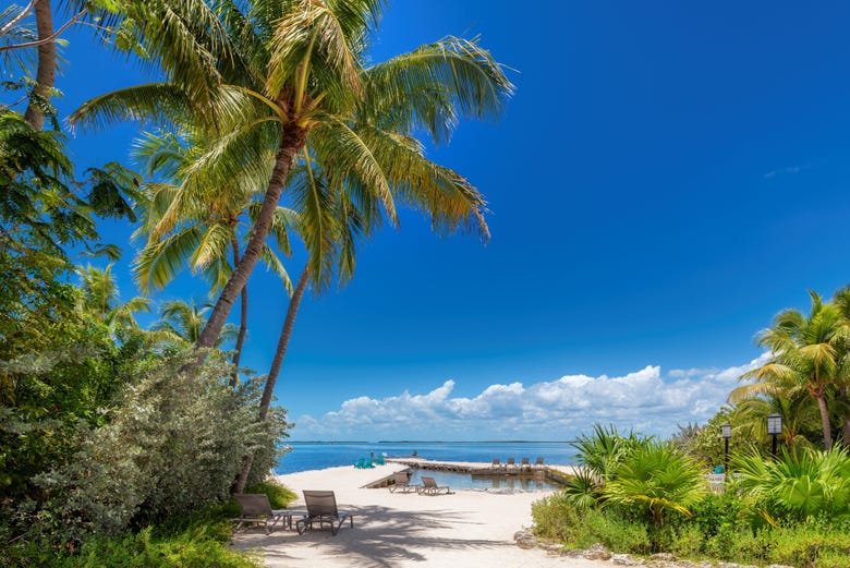 Visit Key Largo for its paradisical landscapes