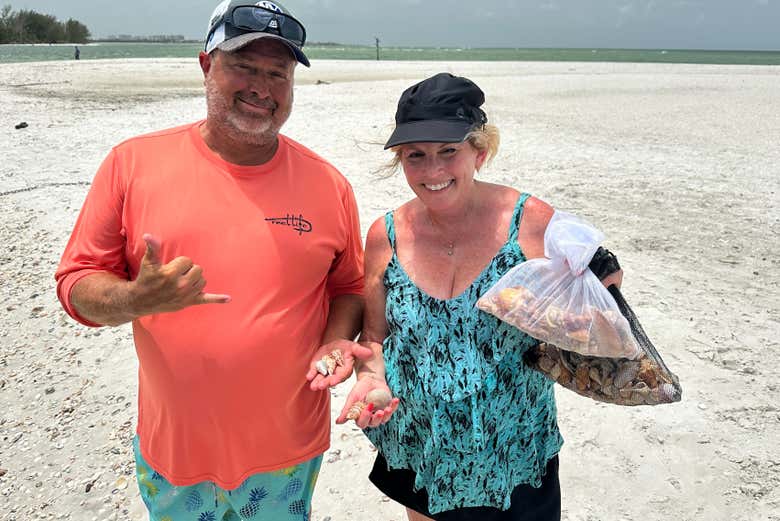 Collect shells on the beach