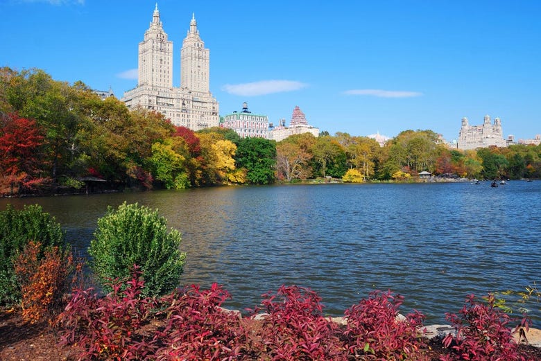 Tour En Bicicleta Por Central Park En Espa Ol Nueva York