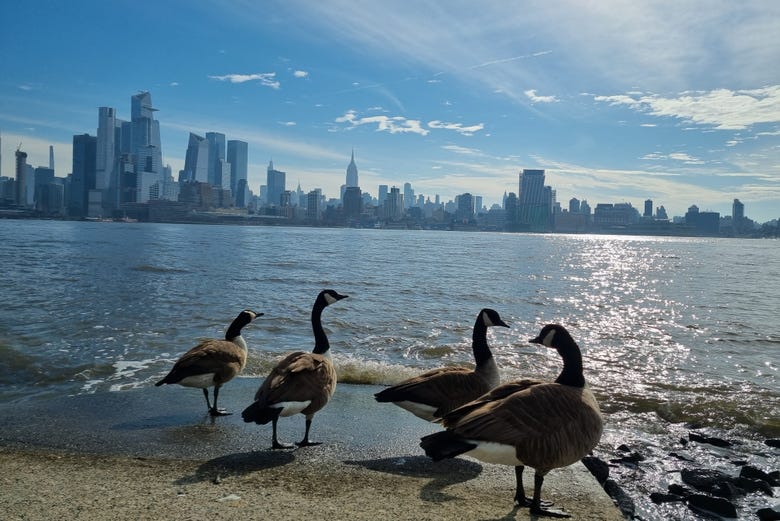 Vistas de Manhattan desde la orilla del río Hudson