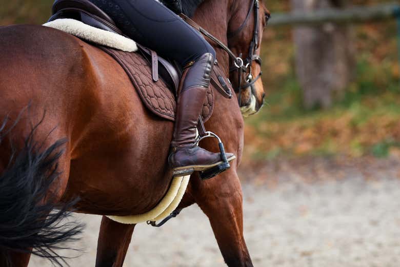 ¿Os apetece un paseo a caballo?