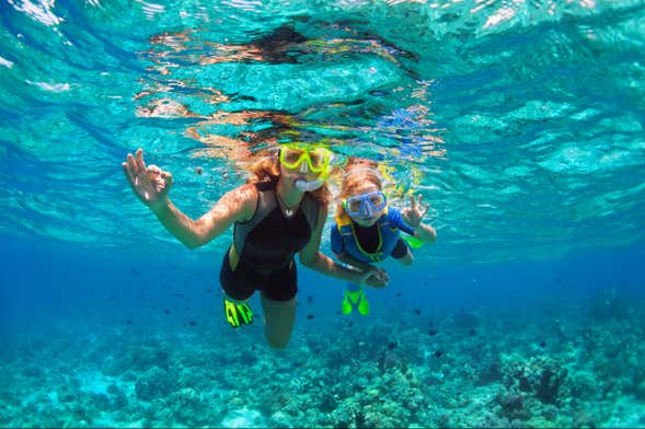 Panama City Beach Snorkelling