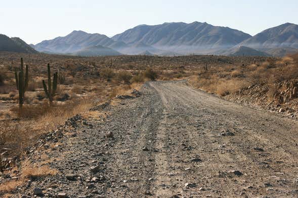 Hummer Tour in the Sonoran Desert