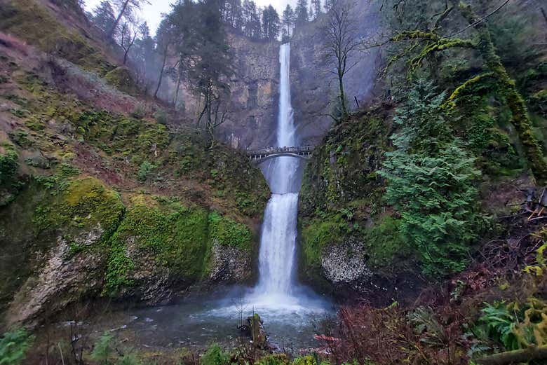 The impressive Multnomah waterfalls