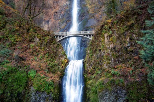 Portland Waterfalls Hop-On Hop-Off Trolleybus