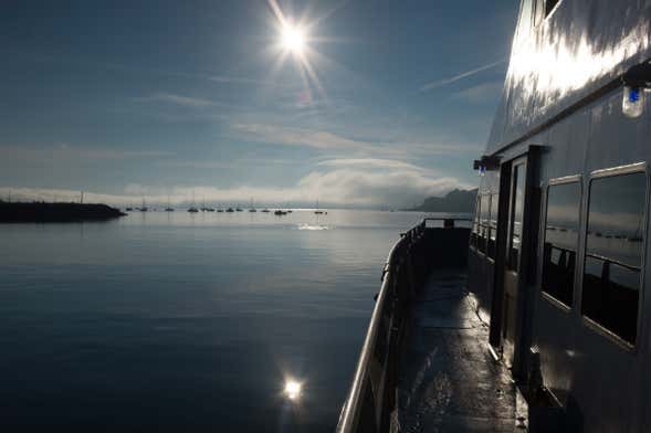 Ferry to Boston