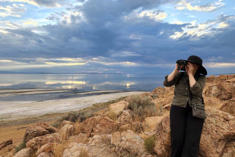 Buscando con prismáticos la fauna de la isla del Antílope