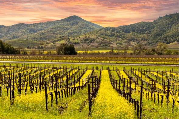 napa and sonoma wine tour from san francisco