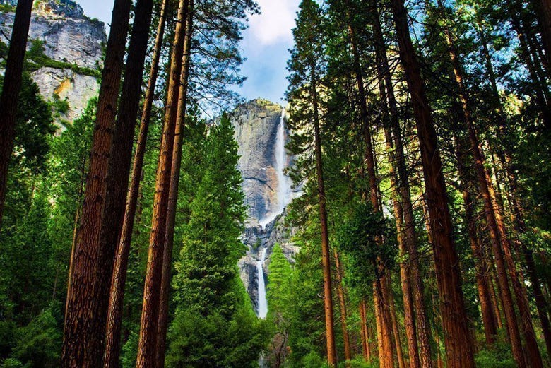 Yosemite Falls