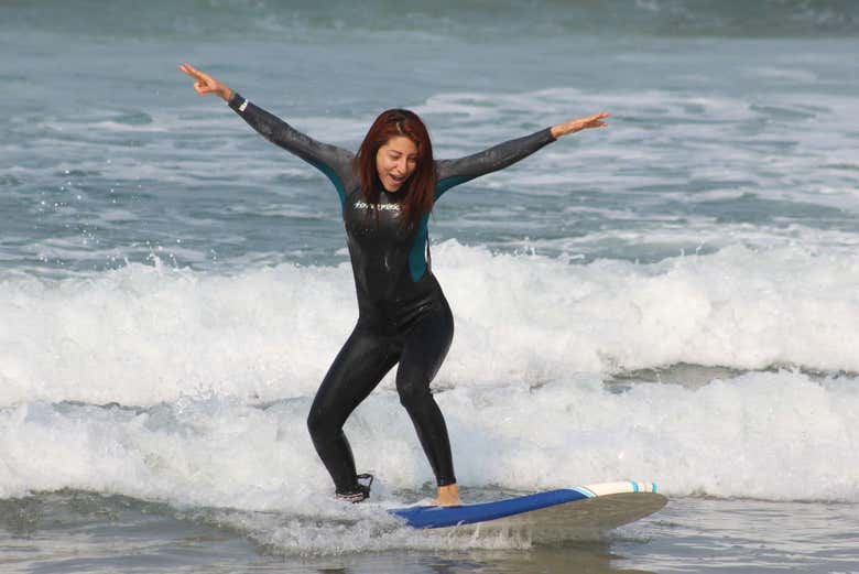 Malibu Beach & Surf Tour from Los Angeles in a VW Van, Santa Monica