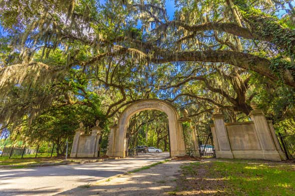 Wormsloe & Bonaventure Cemetery Day Trip