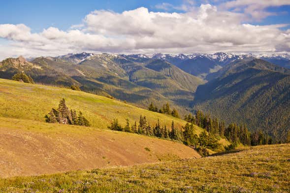 Olympic National Park Tour