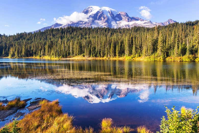 Excursión al Parque Nacional del Monte Rainier desde Seattle