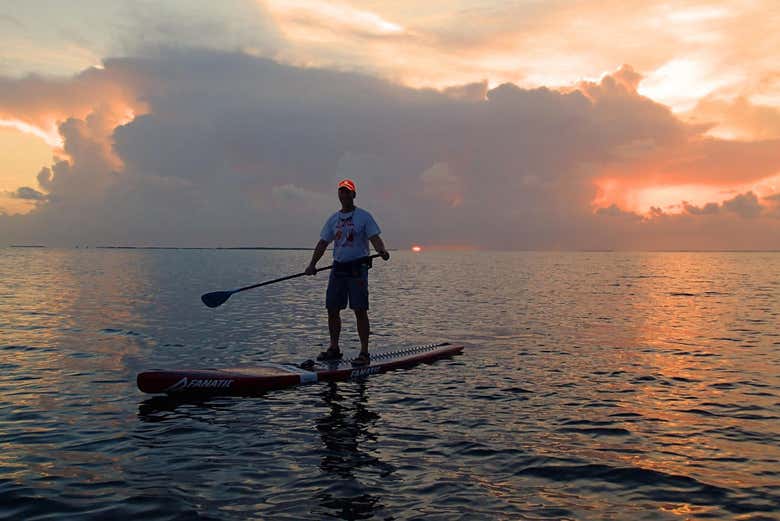 Paddleboarding in Tavernier - Book Online at Civitatis.com