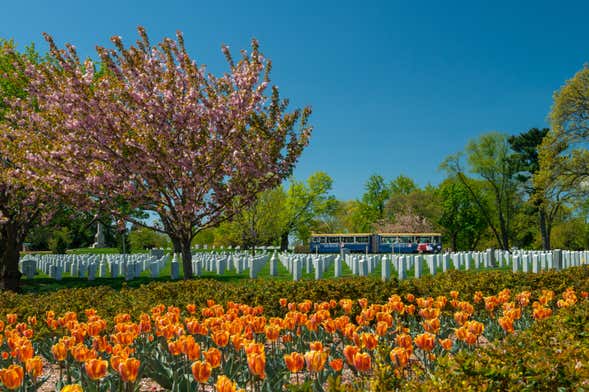 Arlington Cemetery Train Tour