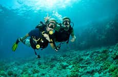 Bautismo de buceo en West Palm Beach