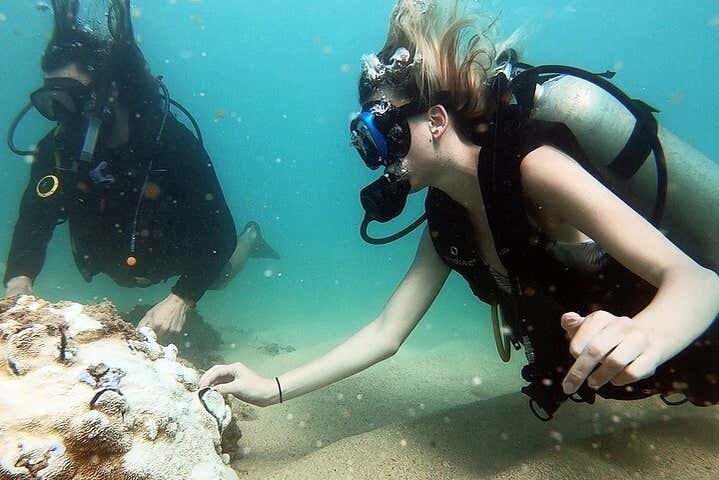 Geet to know West Palm Beach's seabed