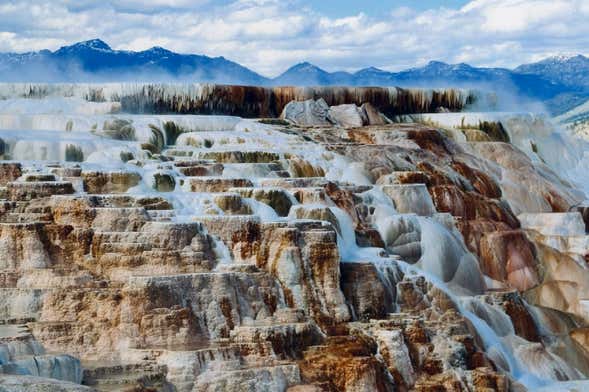 Tour por el norte del Parque Nacional Yellowstone