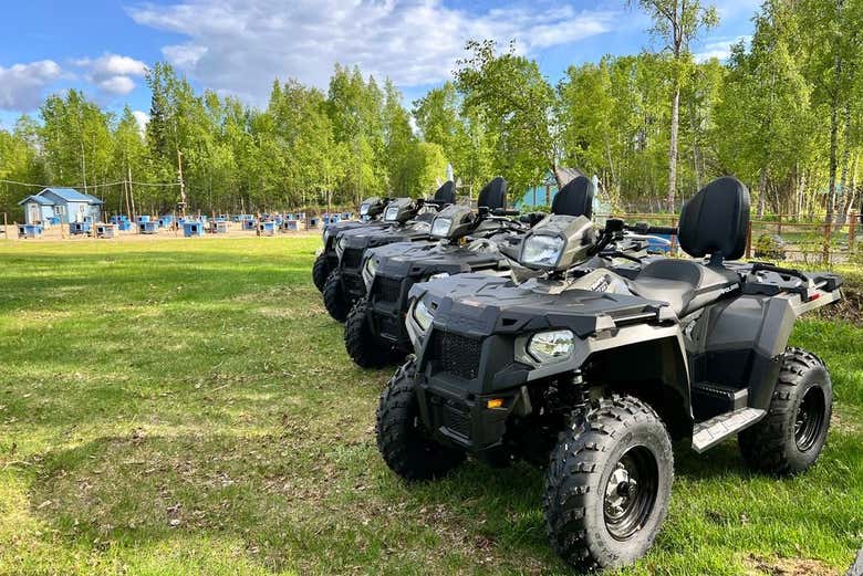 Drive off the beaten path on a quad tour through Willow