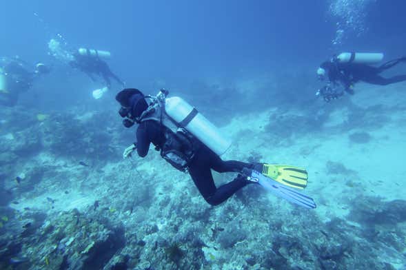 Bautismo de buceo en Bohol