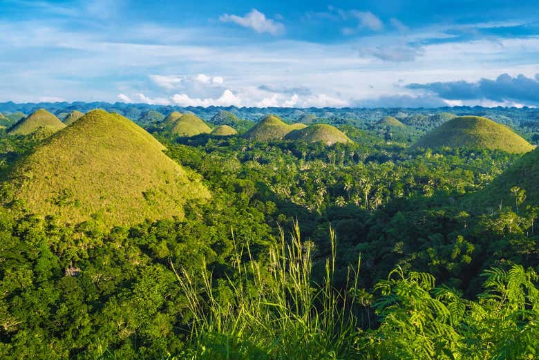 Chocolate Hills