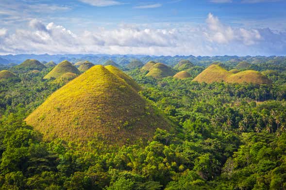 Visita guiada por Bohol