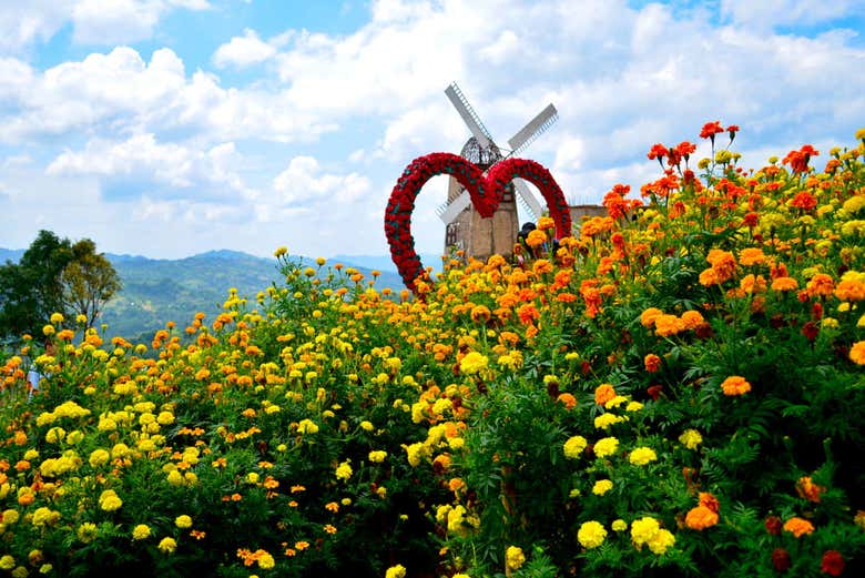 Jardín Sirao