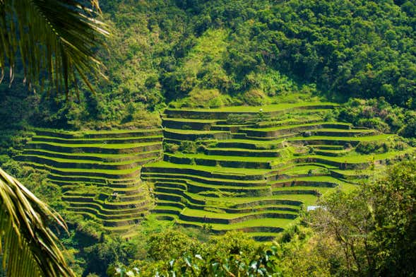 Tour de 5 días por el norte de Filipinas